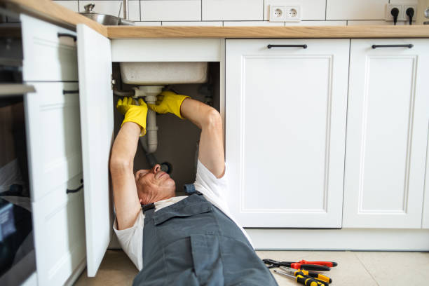 Best Affordable Plumbing Services  in Northwest Ithaca, NY